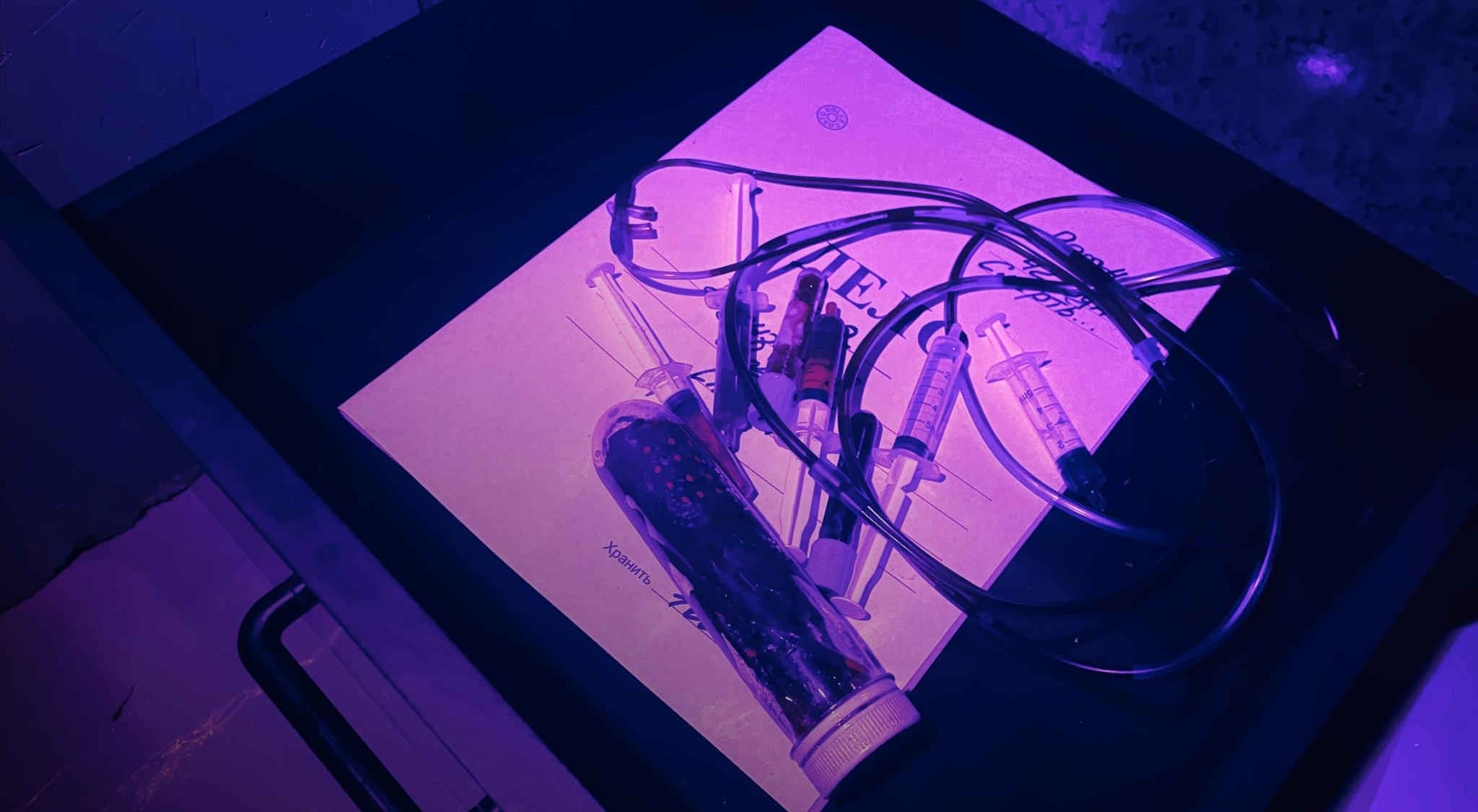 перформанс Эксперимент "Кожа под атакой" в Кемерово фото 0