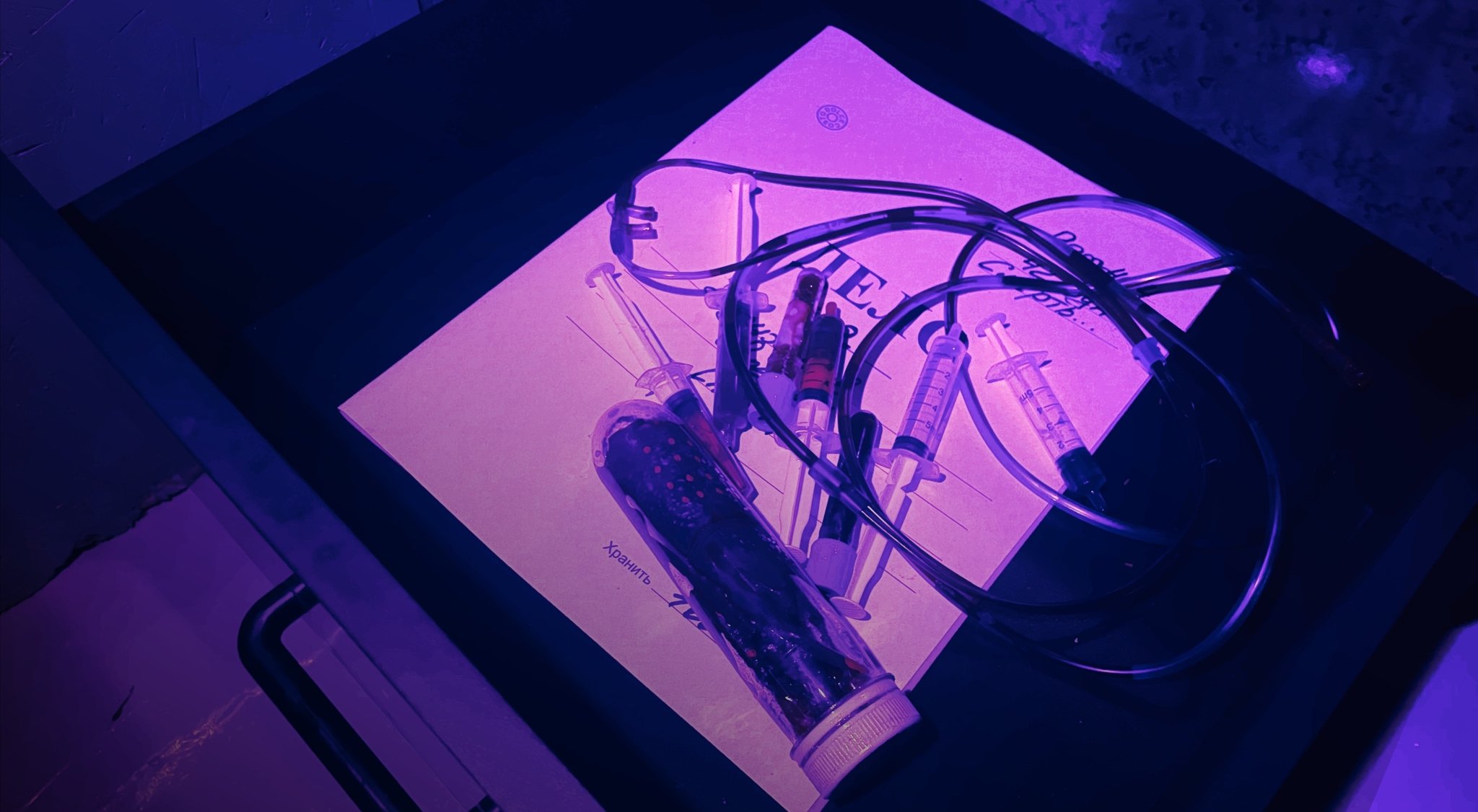 перформанс Эксперимент "Кожа под атакой" в Кемерово фото 0